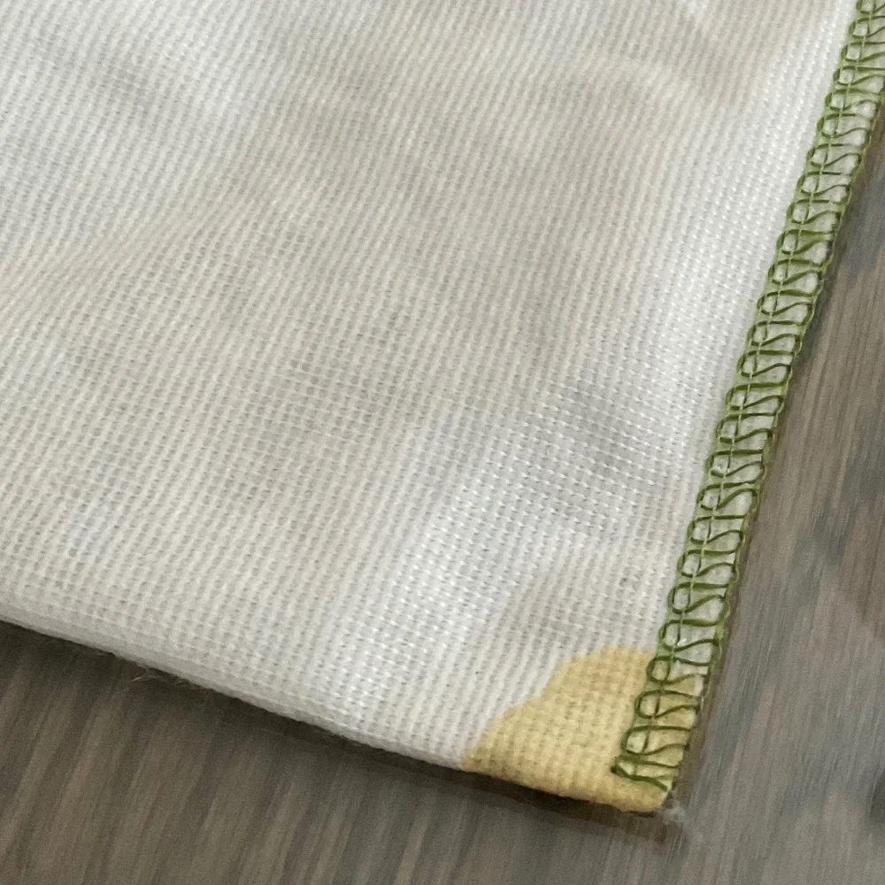 LONGCHAMP DUST BAG.   25” W X 19” H.  White & Green. - Picture 5 of 5